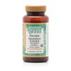 Swanson Bacopa Monnieri Extract  Product Image